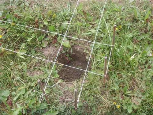 Ростверк на сваях. Свайно-ростверковый фундамент: обзор