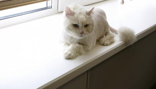 Пошаговая инструкция: как установить подоконник при готовом откосе 07 Пошаговая инструкция: как установить подоконник при готовом откосе 07