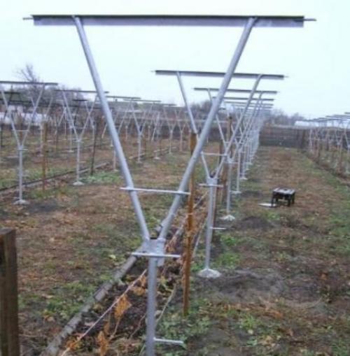 Шпалера для малины размеры. 5 типов шпалер