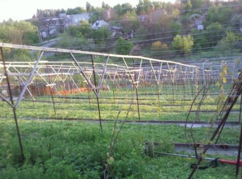 Шпалера для малины размеры. 5 типов шпалер
