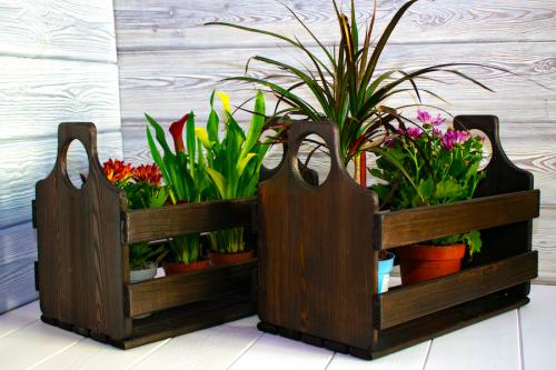 Как сделать цветочный горшок своими руками. Горшки для цветов из пластиковых бутылок своими руками 03