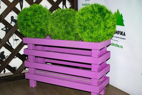 Как сделать цветочный горшок своими руками. Горшки для цветов из пластиковых бутылок своими руками 05