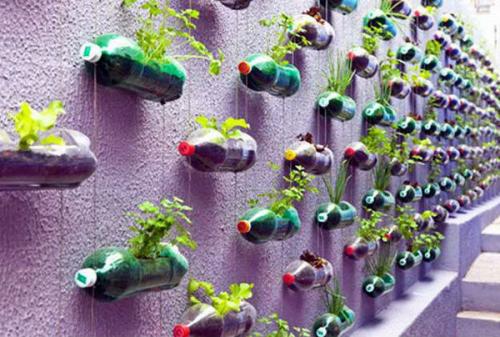 Горшки для цветов своими руками из пластиковых бутылок. Удобное кашпо из пластиковой бутылки