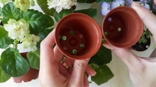 Горшки для фиалок своими руками. Как его выбрать