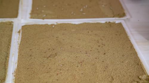 10 ошибок при выборе соковыжималки. Сборник советов по использованию соковыжималки — Как правильно пользоваться соковыжималкой