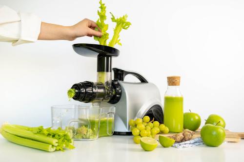 Какие дополнительные функции стоит учитывать при выборе соковыжималки. Что такое шнековая соковыжималка