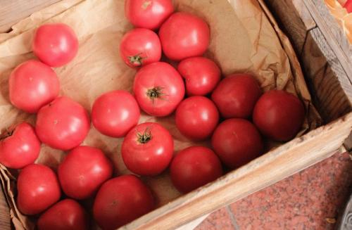 Как сохранить помидоры на зиму. Девять способов сохранить помидоры до наступления зимы: от правильного места до необычной заготовки