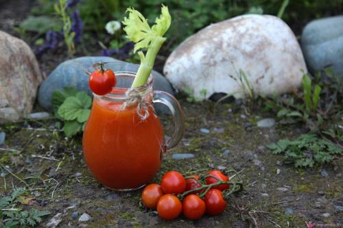 Как удалить семена из томатного сока. Домашний томатный сок