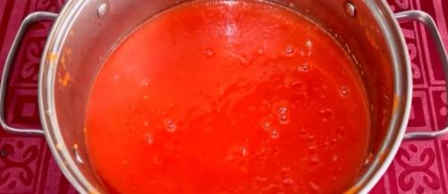 Соковыжималка Салют и помидоры. Томатный сок на зиму в домашних условиях: 4 простых рецепта очень вкусного сока