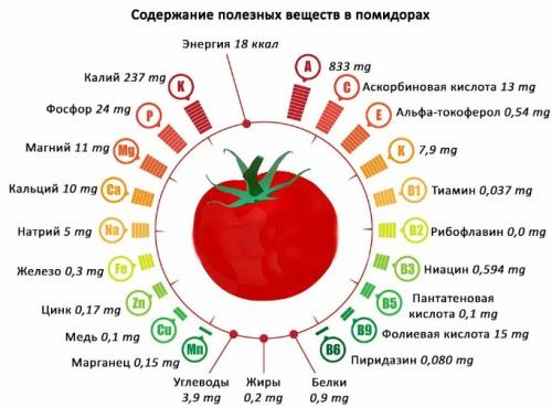 Соковыжималка Салют и помидоры. Томатный сок на зиму в домашних условиях: 4 простых рецепта очень вкусного сока