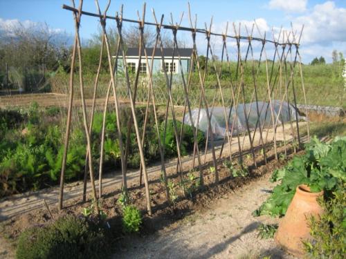 Ограждение для малины. Шпалера для малины — лучшие конструкции для подвязки и расчет оптимальных размеров. Чертежи, схемы и 140 фото различных типов шпалер