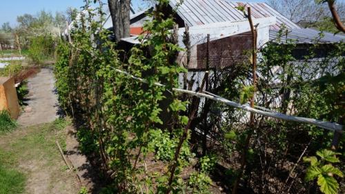 Ограждение для малины. Шпалера для малины — лучшие конструкции для подвязки и расчет оптимальных размеров. Чертежи, схемы и 140 фото различных типов шпалер