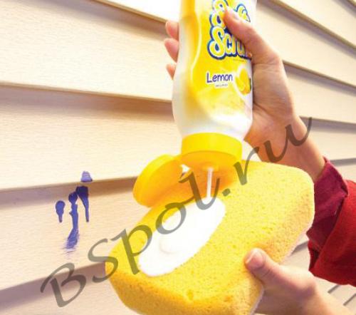 Чем отмыть сайдинг от зелени. Основы ухода за пластиковым покрытием фасада 04