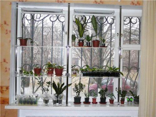 Полочки из стекла. Полки из стекла в квартире 02 Полочки из стекла. Полки из стекла в квартире 02