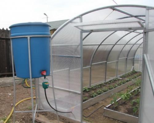 Автополив своими руками в теплице. Пошаговая инструкция, как сделать автополив для теплицы: виды систем, какую выбрать, особенности устройства, схемы и расчеты