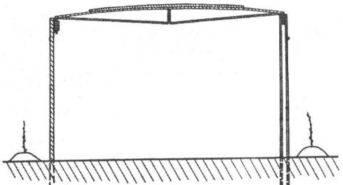 Высота шпалеры для малины. Двухполосная шпалера