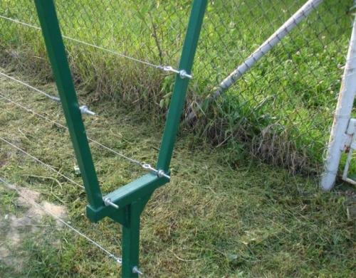 Малина на даче красивое оформление. Описание видов 09 Малина на даче красивое оформление. Описание видов 09