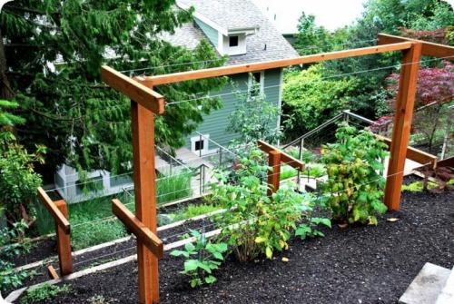 Малина на даче красивое оформление. Описание видов 07 Малина на даче красивое оформление. Описание видов 07