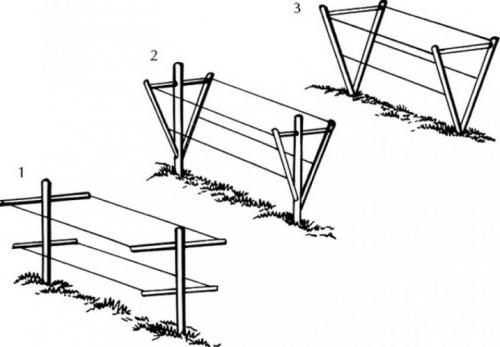 Малина на даче красивое оформление. Описание видов 08 Малина на даче красивое оформление. Описание видов 08