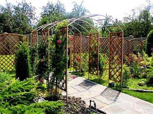 Шпалера для малины своими руками из дерева. Что это и для чего нужны? 25 Шпалера для малины своими руками из дерева. Что это и для чего нужны? 25