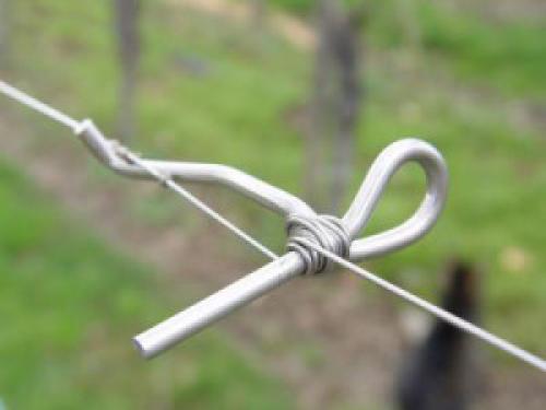 Шпалера для винограда. Одноплоскостная шпалера для винограда