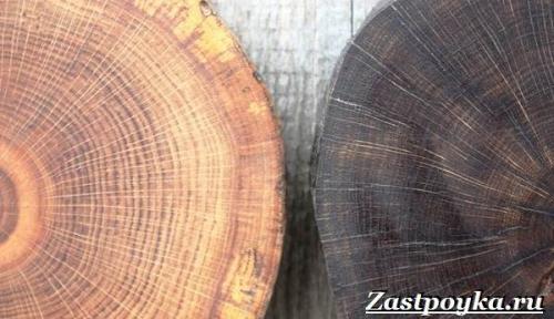 Что такое морилка для дерева и для чего она нужна. Что такое морилка?