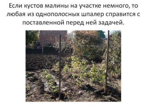 Подпорка для малины своими. Шпалеры для малины своими руками: пошаговая инструкция, как сделать красивое ограждение