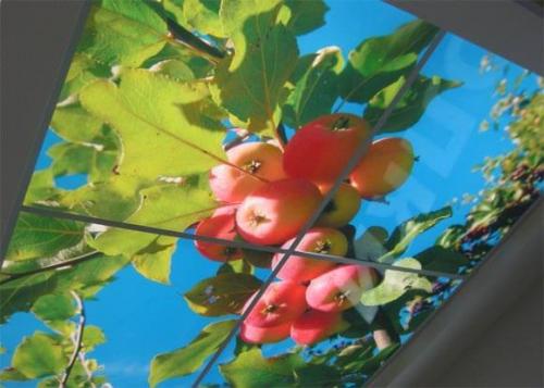 Размер профиля для натяжного потолка. Зачем нужны профили для натяжных потолков 13 Размер профиля для натяжного потолка. Зачем нужны профили для натяжных потолков 13