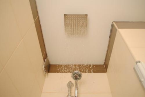 Тропический душ в ванной. Тропический душ для ванной — виды, конструкция, достоинства и недостатки 12 Тропический душ в ванной. Тропический душ для ванной — виды, конструкция, достоинства и недостатки 12