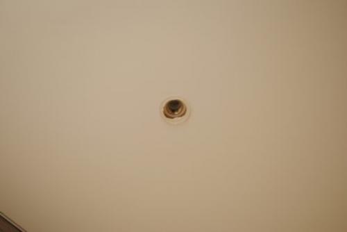 Тропический душ в ванной. Тропический душ для ванной — виды, конструкция, достоинства и недостатки 21 Тропический душ в ванной. Тропический душ для ванной — виды, конструкция, достоинства и недостатки 21