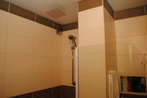 Тропический душ в ванной. Тропический душ для ванной — виды, конструкция, достоинства и недостатки 26 Тропический душ в ванной. Тропический душ для ванной — виды, конструкция, достоинства и недостатки 26