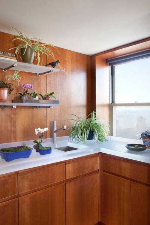 Полки из стекла. По декорированию материала