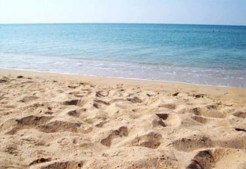 Приготовление цементного раствора пропорции. Цементно-песчаный раствор: соотношение песка и цемента при замесе смеси