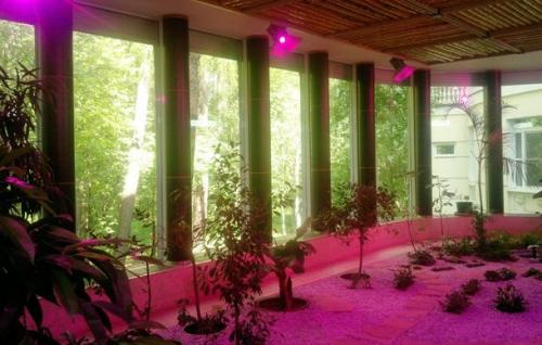 Что такое зимний сад в доме. №9. Система освещения зимнего сада