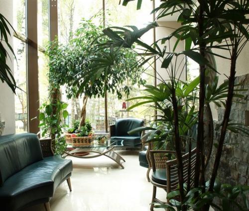 Лучшие зимние сады и оранжереи в доме. Зимний сад в доме: идеи оформления, правила обустройства и советы по выбору растений для зимнего сада (110 фото и видео)