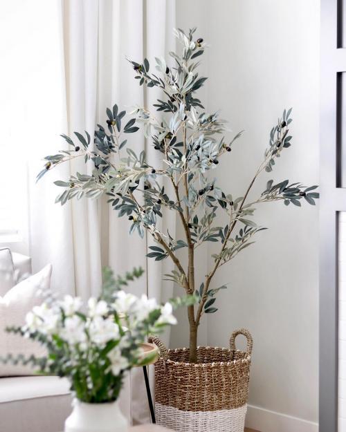 Зимние сады в доме или квартире. №1. Зимний сад, оранжерея и теплица – в чем разница? 33