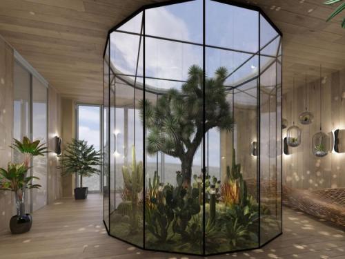 Лучшие зимние сады и оранжереи в доме. Зимний сад в доме: идеи оформления, правила обустройства и советы по выбору растений для зимнего сада (110 фото и видео)