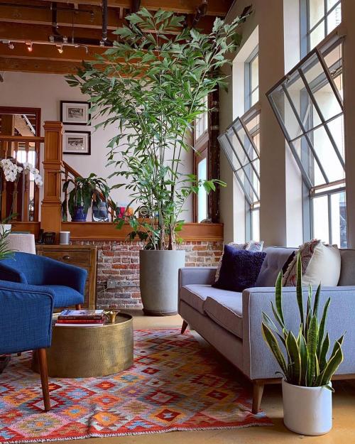 Зимние сады в доме или квартире. №1. Зимний сад, оранжерея и теплица – в чем разница? 30