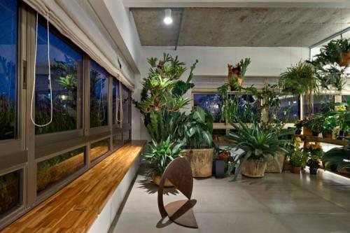 Лучшие зимние сады и оранжереи в доме. Зимний сад в доме: идеи оформления, правила обустройства и советы по выбору растений для зимнего сада (110 фото и видео)