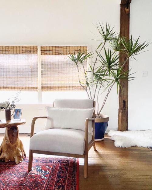 Зимние сады в доме или квартире. №1. Зимний сад, оранжерея и теплица – в чем разница? 31