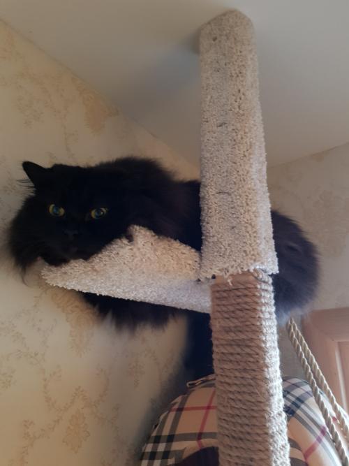 Что нам стоит дом построить. Конспект занятия «Что нам стоит дом построить?» 01