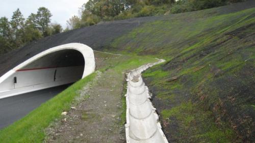 Сетка для щебня для укрепления склона. Георешетка для укрепления склонов — виды, модели, производители, советы по выбору и особенности применения (95 фото + видео)