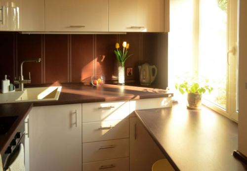 Оформление подоконника на кухне. Подоконник на кухне: особенности использования, рекомендации по выбору. 115 фото функциональных подоконников в интерьере кухни