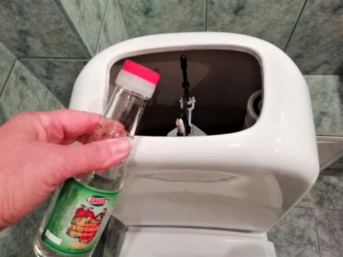 Что положить в бачок унитаза, чтобы всегда было чисто. Сантехник подсказал, как без усилий почистить бачок унитаза от грязного налёта внутри, чтобы он долго прослужил. Делюсь опытом.