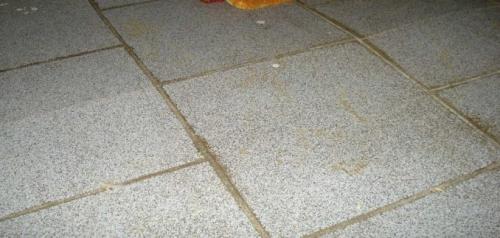 Можно ли класть плитку на деревянный пол. Сложности при укладке плитки