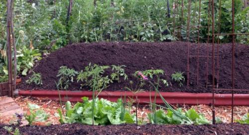 Как создать грядку на даче, которая будет устойчивой к погодным условиям. Что такое теплая грядка?