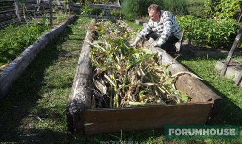 Из чего можно сделать грядки на огороде. Умные грядки на огороде: схема расположения