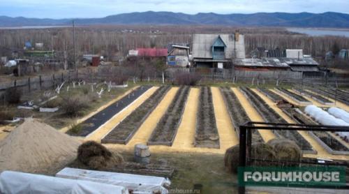 Из чего можно сделать грядки на огороде. Умные грядки на огороде: схема расположения