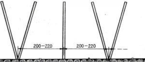 Можно ли использовать малину подвязку к шпалере в качестве украшения интерьера. Виды шпалер для малины