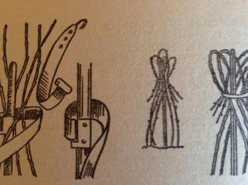 Как правильно хранить малину подвязку к шпалере. Как правильно подвязать малину к шпалере?